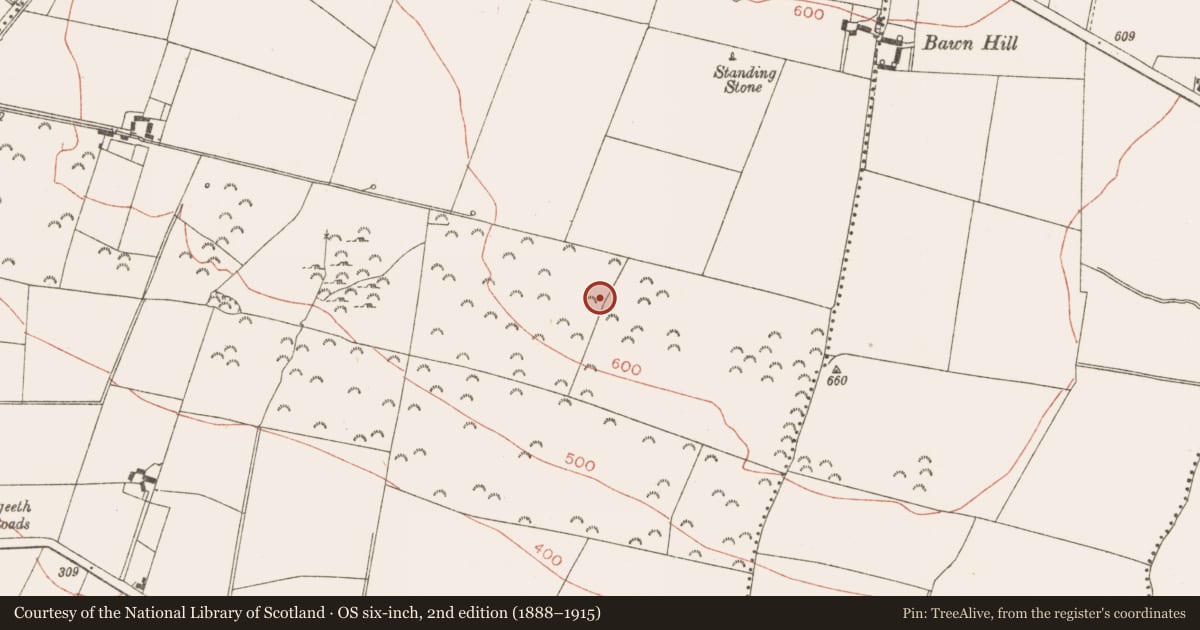 Ordnance Survey six-inch map, 2nd edition (1888–1915) covering the location of Standing stone, Grangegeeth, County Meath, with a pin at the register's coordinates