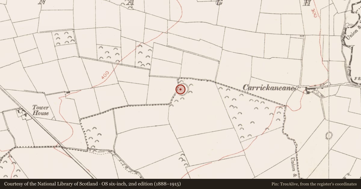 Ordnance Survey six-inch map, 2nd edition (1888–1915) covering the location of Ringfort - rath, Hurcle, County Meath, with a pin at the register's coordinates