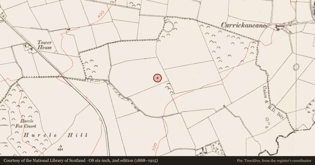 Ordnance Survey six-inch map, 2nd edition (1888–1915) covering the location of Ringfort - rath, Hurcle, County Meath, with a pin at the register's coordinates