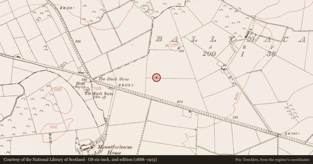 Ordnance Survey six-inch map, 2nd edition (1888–1915) covering the location of Standing stone, Ballymacan, County Meath, with a pin at the register's coordinates