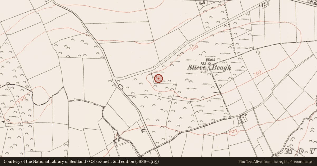 Ordnance Survey six-inch map, 2nd edition (1888–1915) covering the location of Barrow - ring-barrow, Rathbranchurch, County Meath, with a pin at the register's coordinates