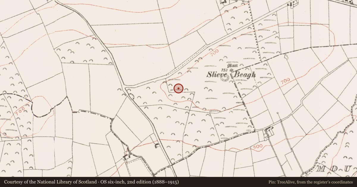 Ordnance Survey six-inch map, 2nd edition (1888–1915) covering the location of Barrow - unclassified, Rathbranchurch, County Meath, with a pin at the register's coordinates