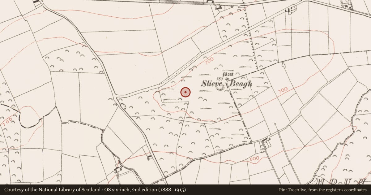 Ordnance Survey six-inch map, 2nd edition (1888–1915) covering the location of Barrow - unclassified, Rathbranchurch, County Meath, with a pin at the register's coordinates