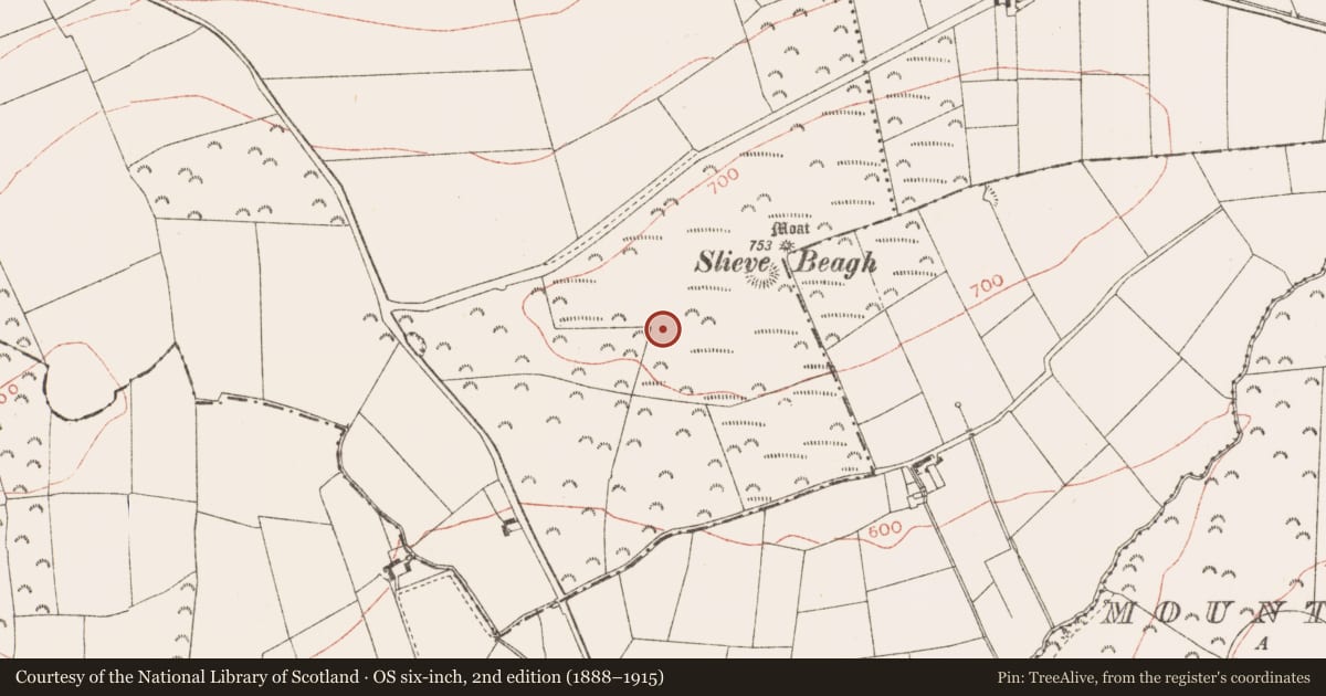 Ordnance Survey six-inch map, 2nd edition (1888–1915) covering the location of Hut site, Rathbranchurch, County Meath, with a pin at the register's coordinates