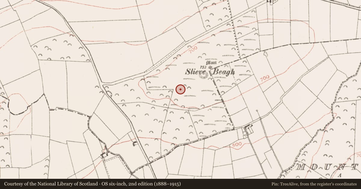 Ordnance Survey six-inch map, 2nd edition (1888–1915) covering the location of Hut site, Rathbranchurch, County Meath, with a pin at the register's coordinates