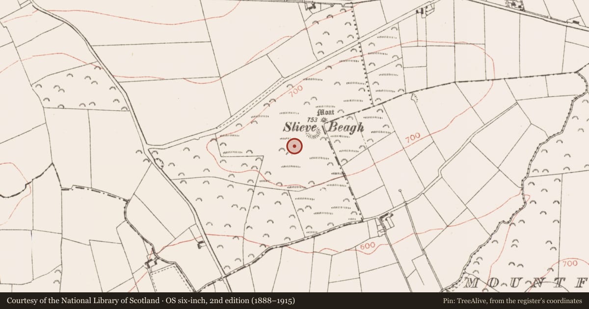 Ordnance Survey six-inch map, 2nd edition (1888–1915) covering the location of Barrow - ring-barrow, Rathbranchurch, County Meath, with a pin at the register's coordinates