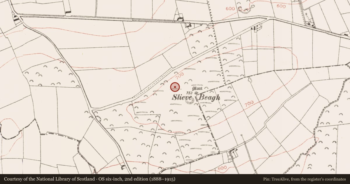 Ordnance Survey six-inch map, 2nd edition (1888–1915) covering the location of Barrow - ring-barrow, Rathbranchurch, County Meath, with a pin at the register's coordinates