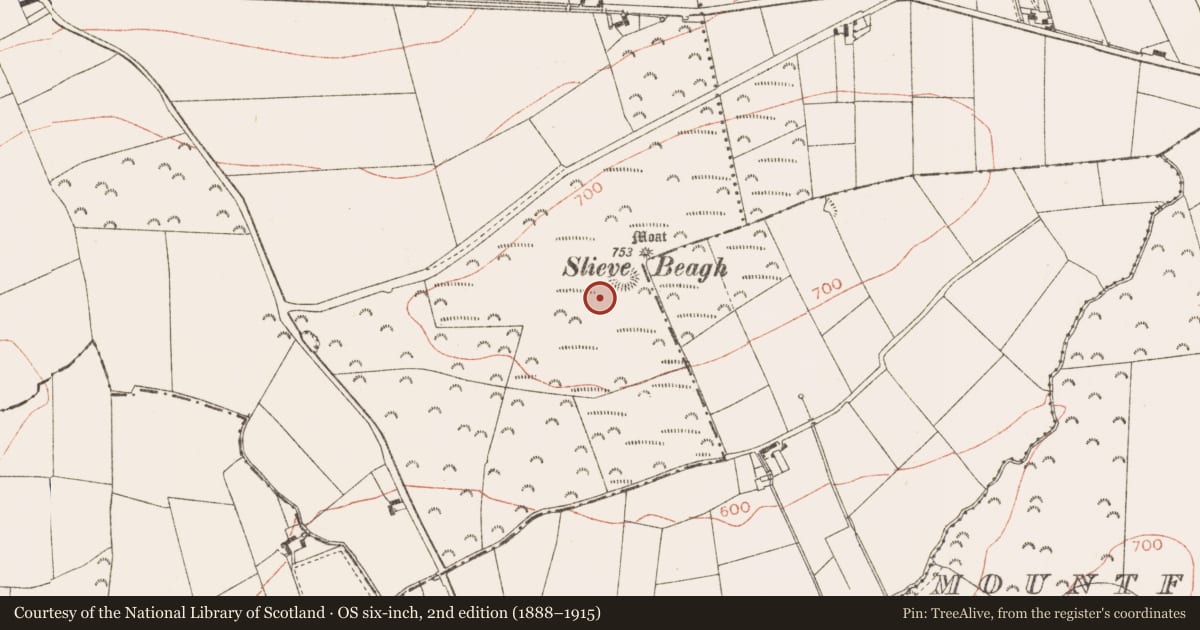 Ordnance Survey six-inch map, 2nd edition (1888–1915) covering the location of Ringfort - rath, Rathbranchurch, County Meath, with a pin at the register's coordinates