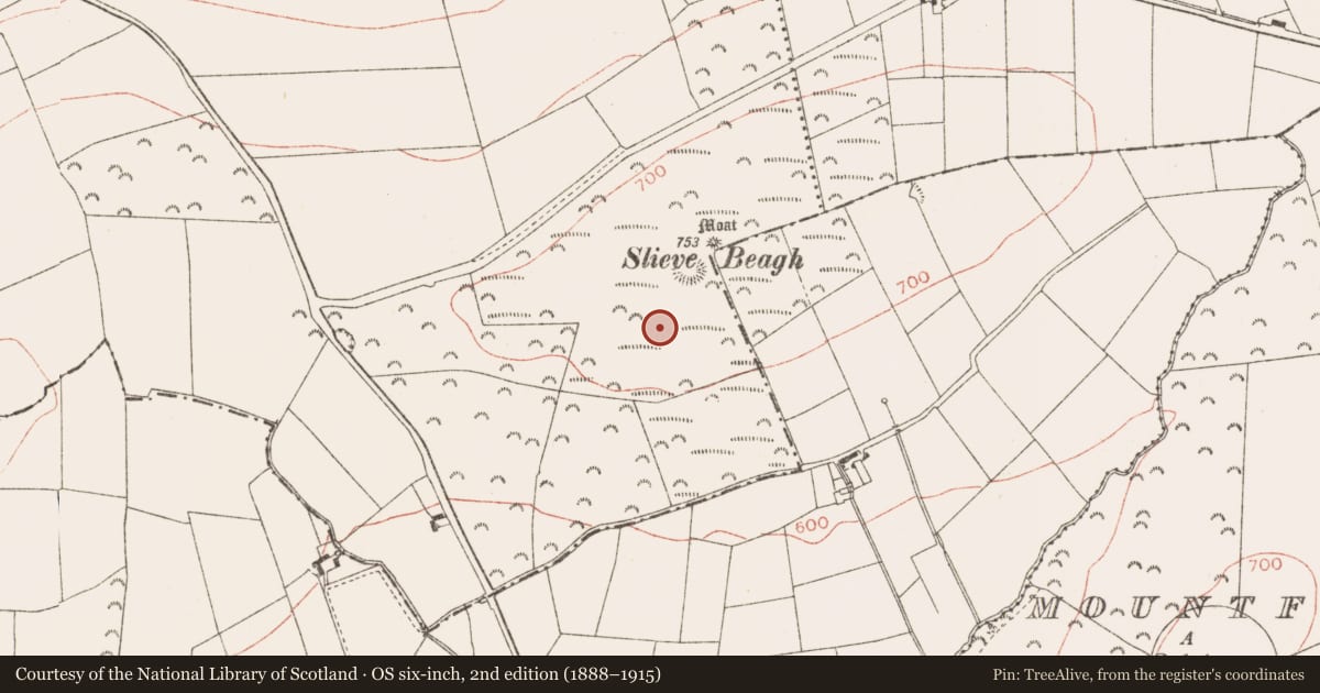 Ordnance Survey six-inch map, 2nd edition (1888–1915) covering the location of Hut site, Rathbranchurch, County Meath, with a pin at the register's coordinates