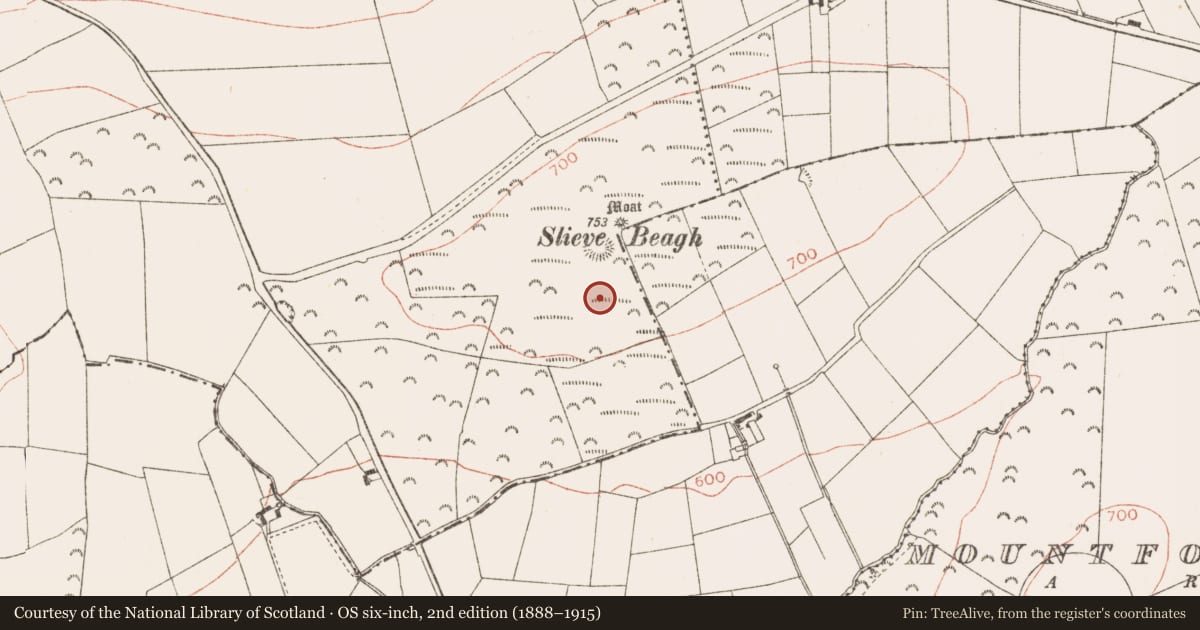 Ordnance Survey six-inch map, 2nd edition (1888–1915) covering the location of Hut site, Rathbranchurch, County Meath, with a pin at the register's coordinates