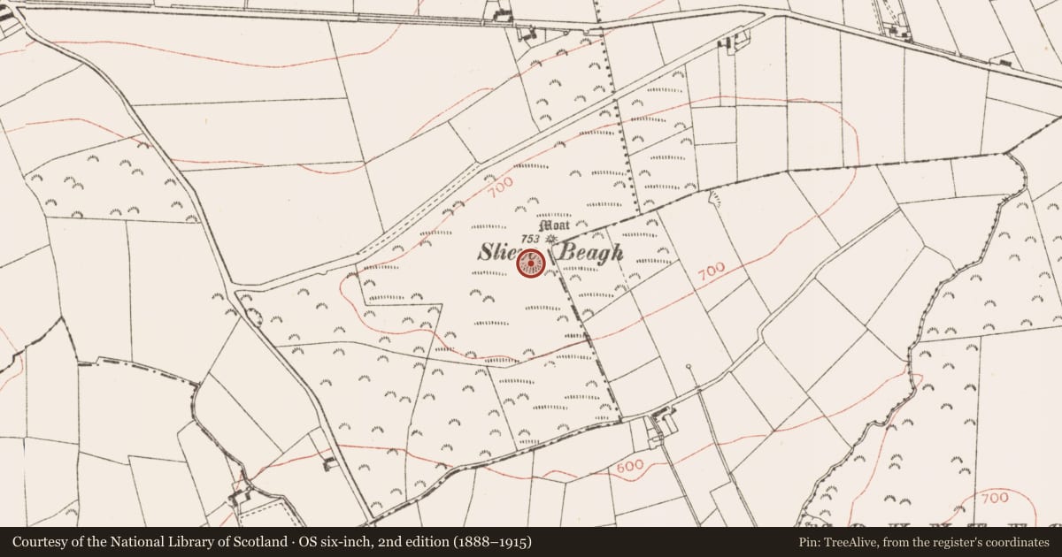 Ordnance Survey six-inch map, 2nd edition (1888–1915) covering the location of Ringfort - rath, Rathbranchurch, County Meath, with a pin at the register's coordinates
