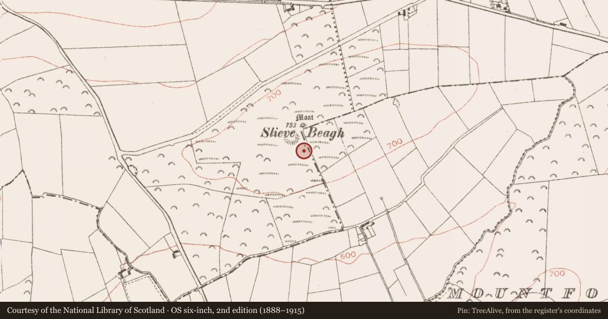 Ordnance Survey six-inch map, 2nd edition (1888–1915) covering the location of Hut site, Rathbranchurch, County Meath, with a pin at the register's coordinates