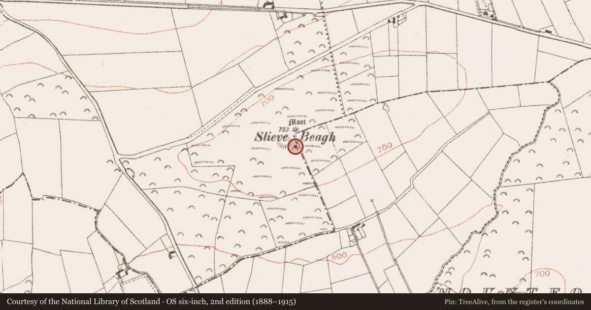 Ordnance Survey six-inch map, 2nd edition (1888–1915) covering the location of Barrow - ring-barrow, Rathbranchurch, County Meath, with a pin at the register's coordinates