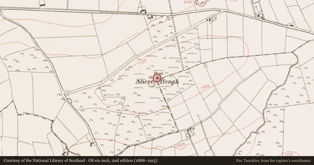 Ordnance Survey six-inch map, 2nd edition (1888–1915) covering the location of Barrow - bowl-barrow, Rathbranchurch, County Meath, with a pin at the register's coordinates