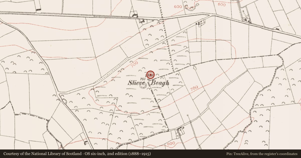 Ordnance Survey six-inch map, 2nd edition (1888–1915) covering the location of Barrow - ring-barrow, Rathbranchurch, County Meath, with a pin at the register's coordinates