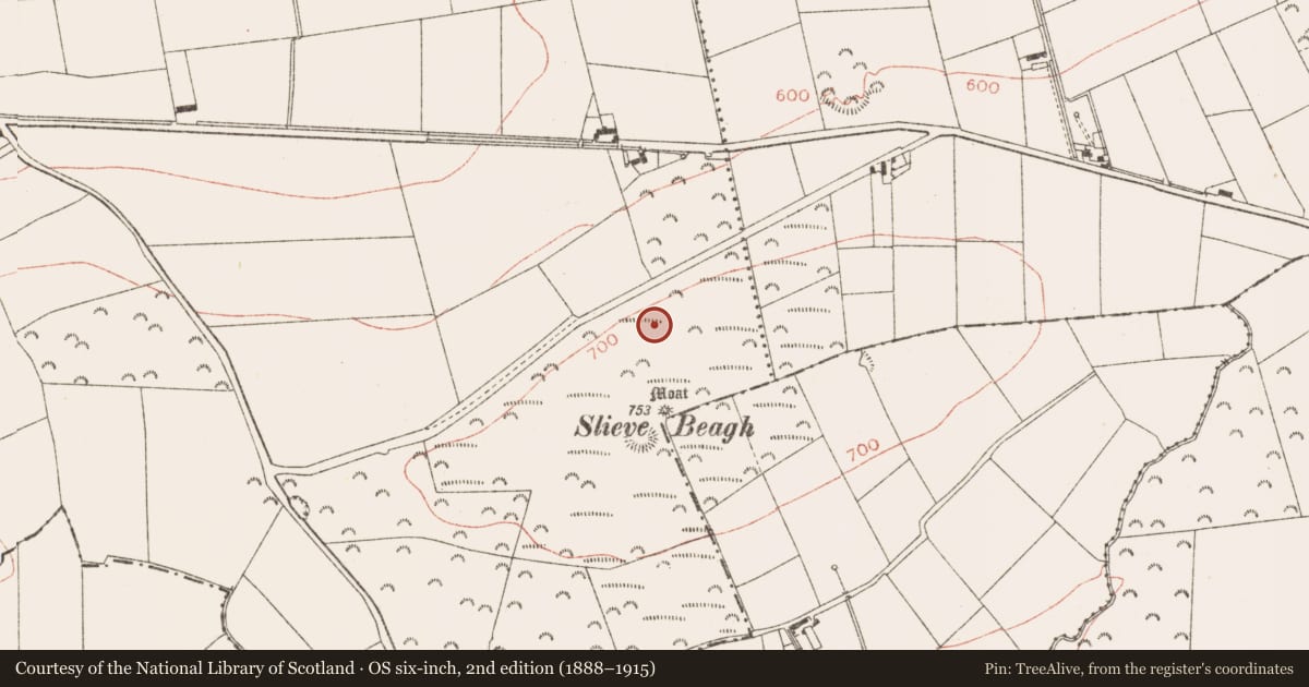 Ordnance Survey six-inch map, 2nd edition (1888–1915) covering the location of Hut site, Rathbranchurch, County Meath, with a pin at the register's coordinates