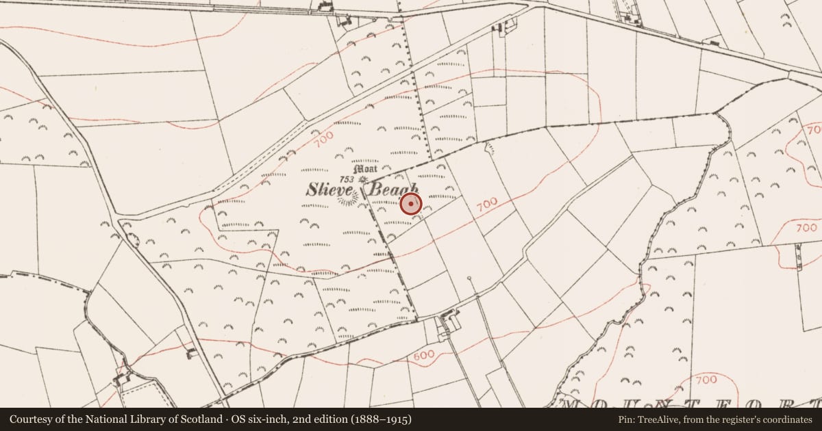 Ordnance Survey six-inch map, 2nd edition (1888–1915) covering the location of Hut site, Creewood, County Meath, with a pin at the register's coordinates