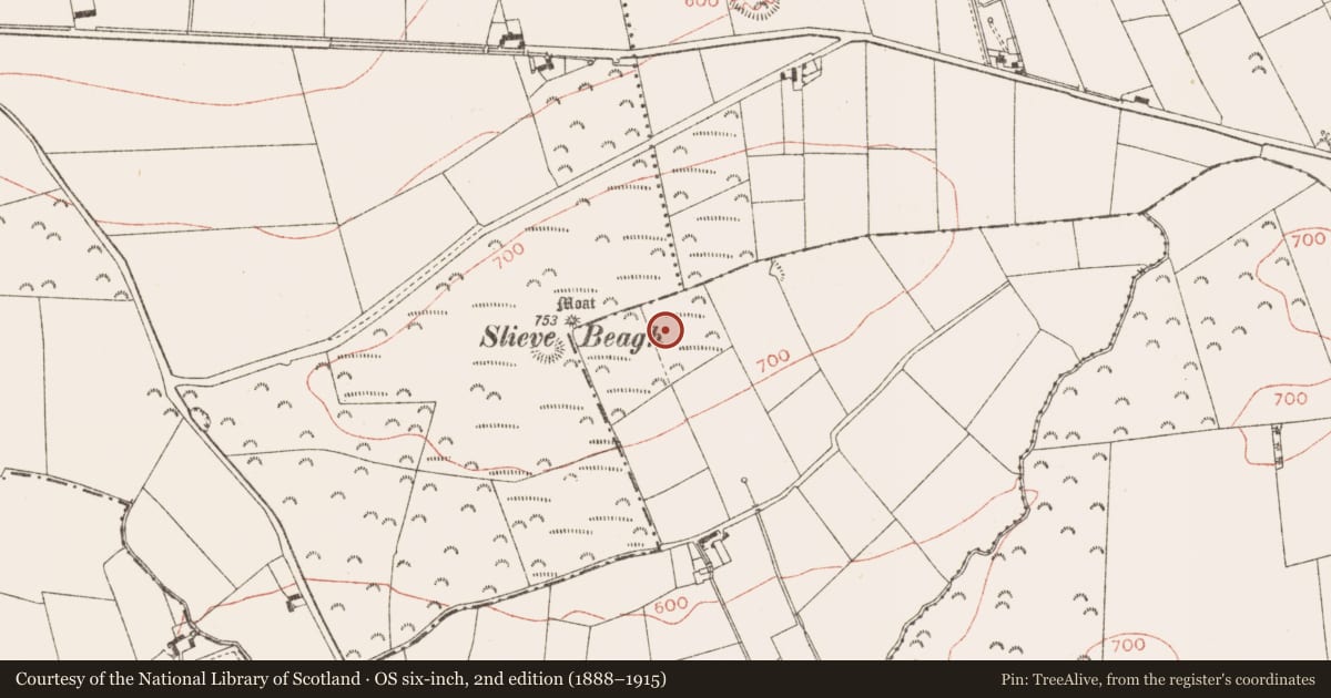 Ordnance Survey six-inch map, 2nd edition (1888–1915) covering the location of Hut site, Creewood, County Meath, with a pin at the register's coordinates
