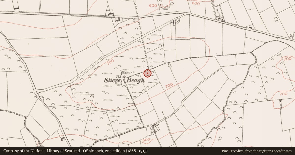 Ordnance Survey six-inch map, 2nd edition (1888–1915) covering the location of Barrow - ring-barrow, Creewood, County Meath, with a pin at the register's coordinates