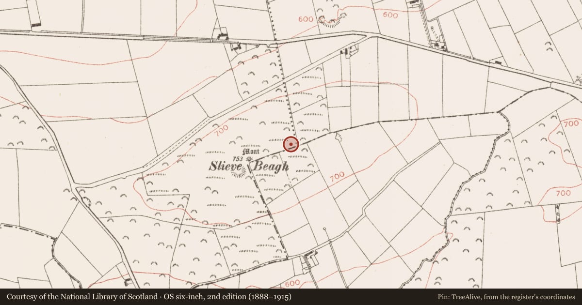 Ordnance Survey six-inch map, 2nd edition (1888–1915) covering the location of Ringfort - rath, Rathbranchurch, Creewood, County Meath, with a pin at the register's coordinates