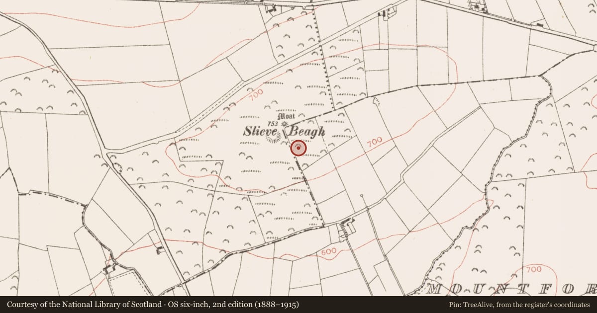 Ordnance Survey six-inch map, 2nd edition (1888–1915) covering the location of Barrow - unclassified, Creewood, County Meath, with a pin at the register's coordinates