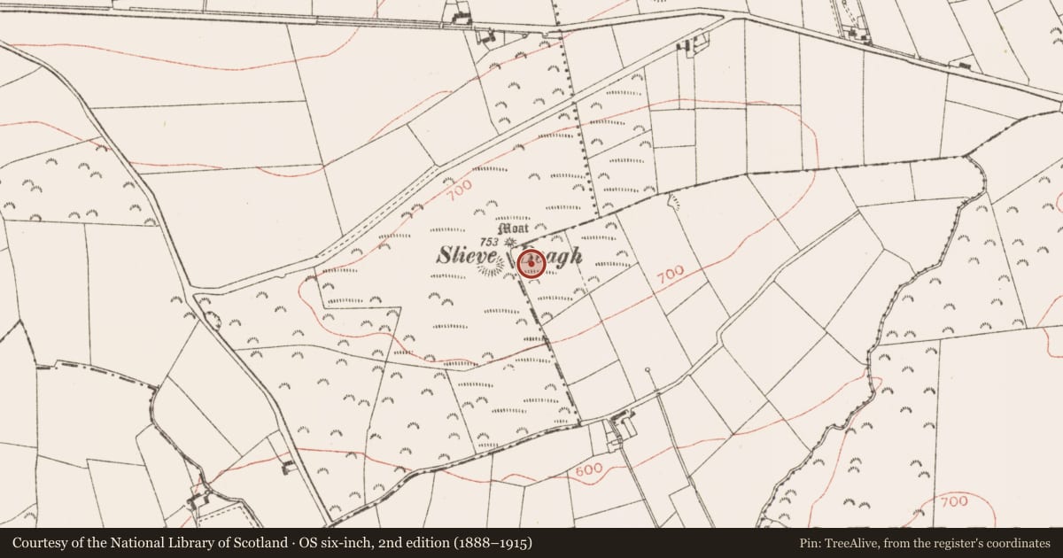Ordnance Survey six-inch map, 2nd edition (1888–1915) covering the location of Barrow - unclassified, Creewood, County Meath, with a pin at the register's coordinates