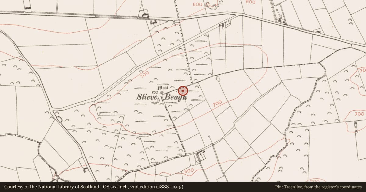 Ordnance Survey six-inch map, 2nd edition (1888–1915) covering the location of Barrow - unclassified, Creewood, County Meath, with a pin at the register's coordinates