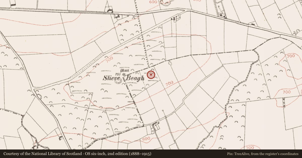 Ordnance Survey six-inch map, 2nd edition (1888–1915) covering the location of Barrow - unclassified, Creewood, County Meath, with a pin at the register's coordinates