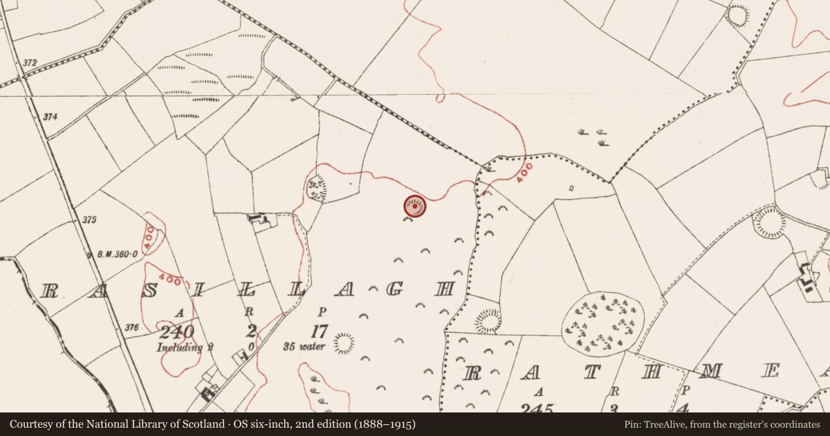 Ordnance Survey six-inch map, 2nd edition (1888–1915) covering the location of Ringfort - rath, Rasillagh, County Meath, with a pin at the register's coordinates
