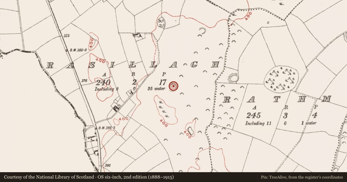 Ordnance Survey six-inch map, 2nd edition (1888–1915) covering the location of Ringfort - rath, Rasillagh, County Meath, with a pin at the register's coordinates