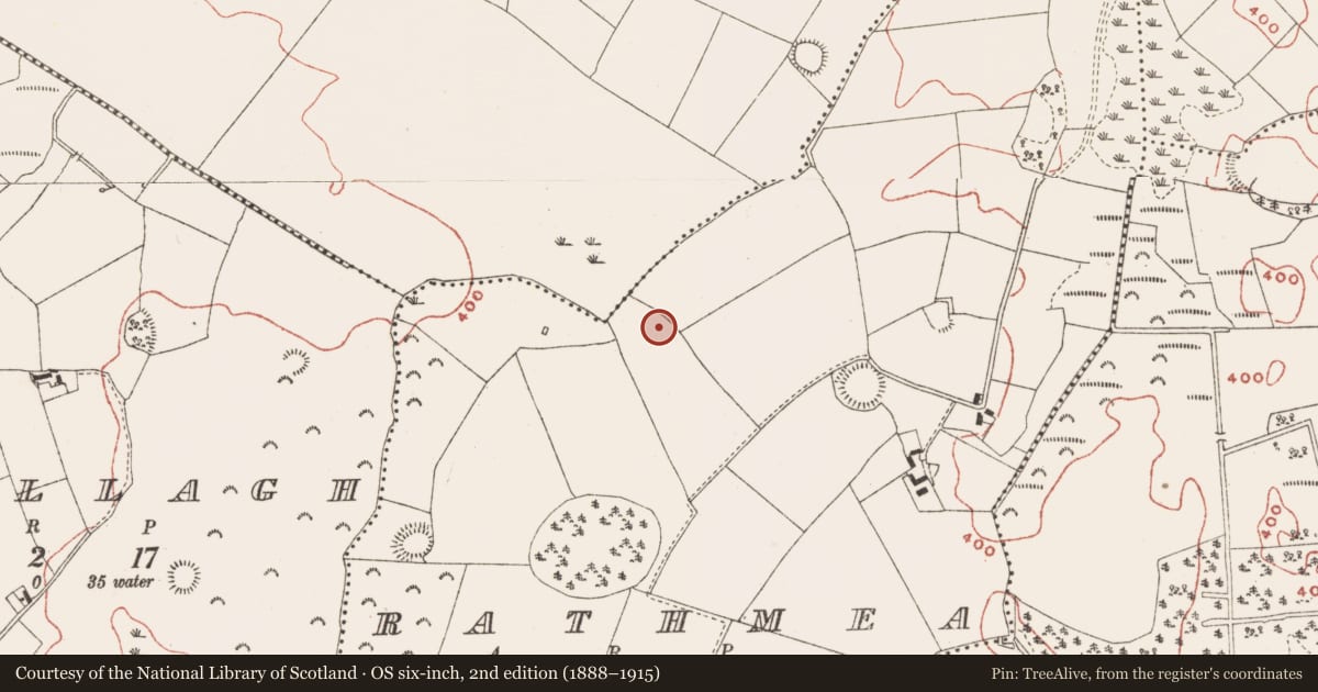 Ordnance Survey six-inch map, 2nd edition (1888–1915) covering the location of Ringfort - rath, Rathmea, County Meath, with a pin at the register's coordinates
