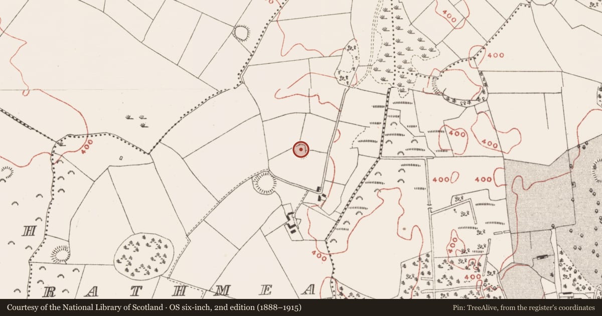 Ordnance Survey six-inch map, 2nd edition (1888–1915) covering the location of Ringfort - rath, Rathmea, County Meath, with a pin at the register's coordinates