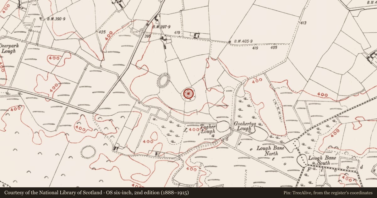 Ordnance Survey six-inch map, 2nd edition (1888–1915) covering the location of Enclosure, Baltrasna, County Meath, with a pin at the register's coordinates