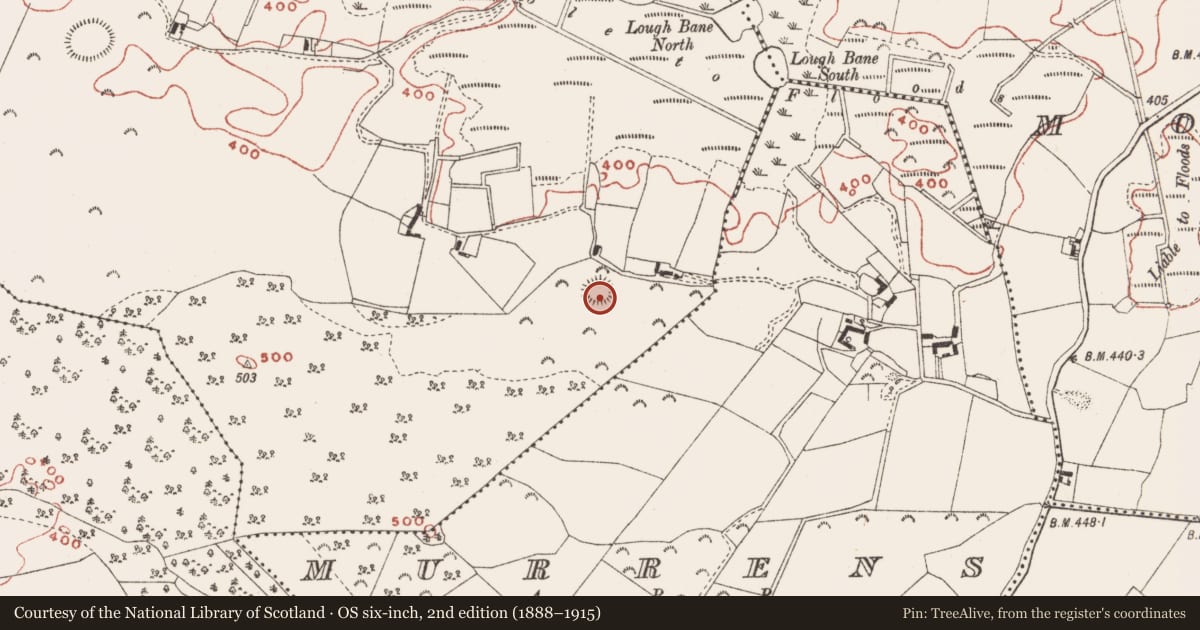 Ordnance Survey six-inch map, 2nd edition (1888–1915) covering the location of Ringfort - rath, Baltrasna, County Meath, with a pin at the register's coordinates