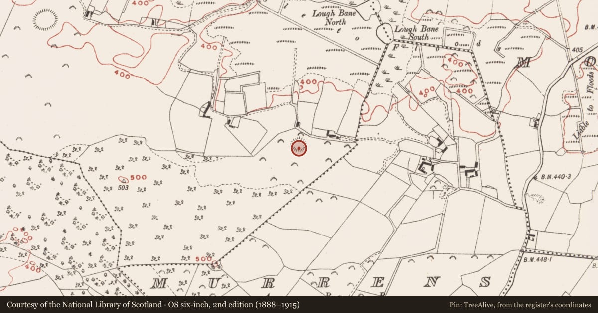 Ordnance Survey six-inch map, 2nd edition (1888–1915) covering the location of Hut site, Baltrasna, County Meath, with a pin at the register's coordinates