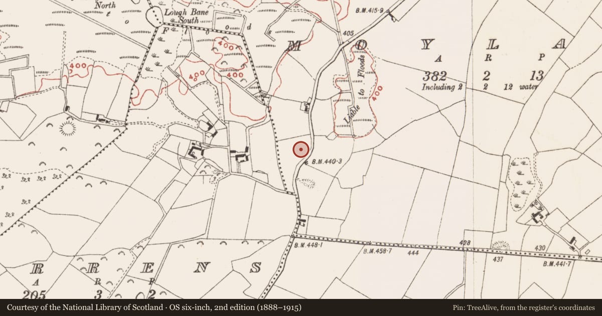 Ordnance Survey six-inch map, 2nd edition (1888–1915) covering the location of Ringfort - rath, Moylagh, County Meath, with a pin at the register's coordinates