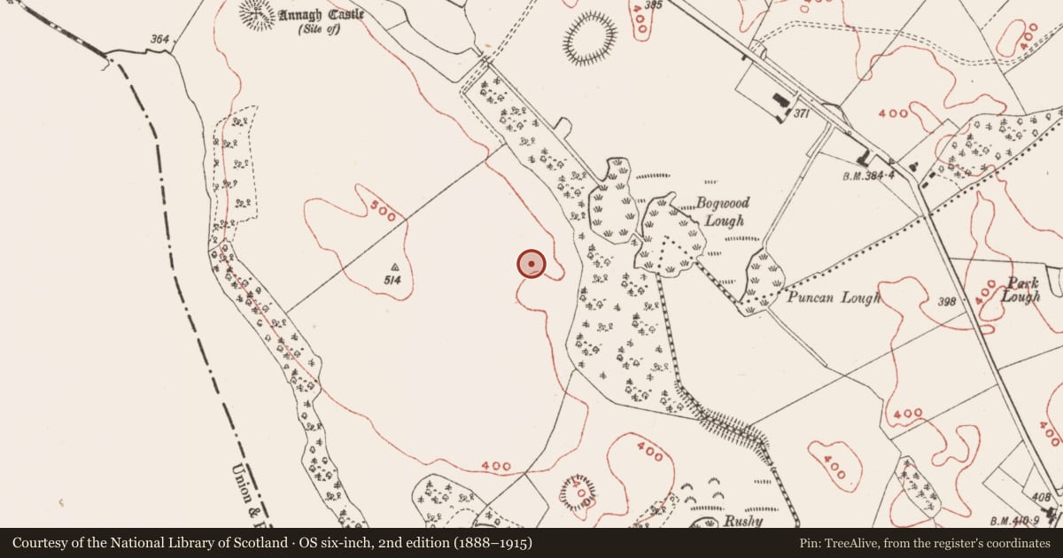 Ordnance Survey six-inch map, 2nd edition (1888–1915) covering the location of Ringfort - rath, Annagh, County Meath, with a pin at the register's coordinates