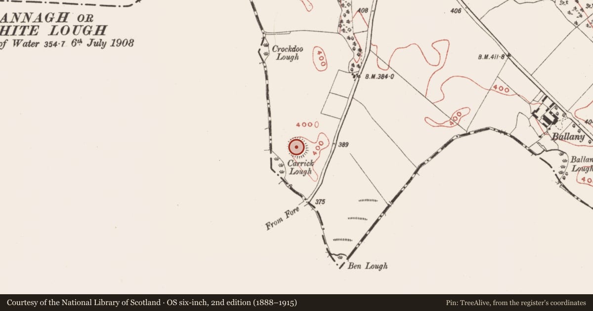 Ordnance Survey six-inch map, 2nd edition (1888–1915) covering the location of Ringfort - rath, Ballany, County Meath, with a pin at the register's coordinates