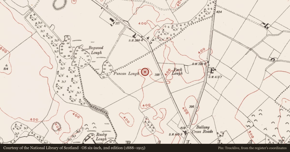 Ordnance Survey six-inch map, 2nd edition (1888–1915) covering the location of Enclosure, Ballany, County Meath, with a pin at the register's coordinates