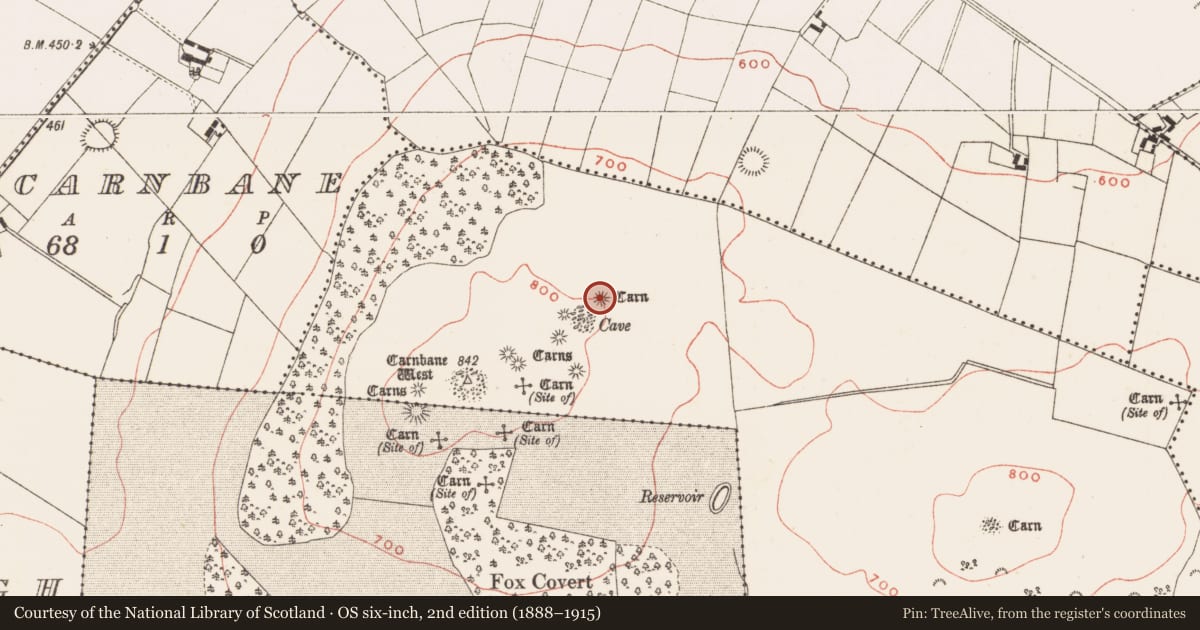 Ordnance Survey six-inch map, 2nd edition (1888–1915) covering the location of Megalithic tomb - passage tomb, Newtown, County Meath, with a pin at the register's coordinates