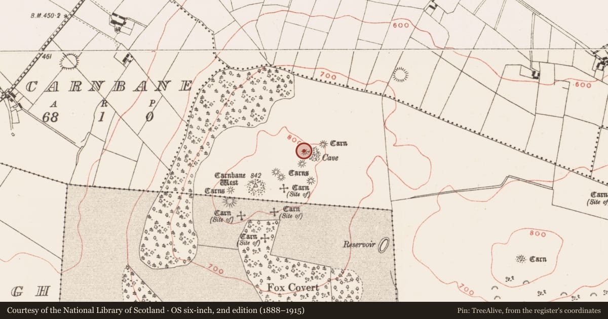 Ordnance Survey six-inch map, 2nd edition (1888–1915) covering the location of Megalithic tomb - passage tomb, Newtown, County Meath, with a pin at the register's coordinates