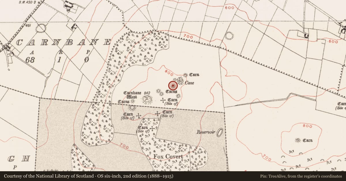 Ordnance Survey six-inch map, 2nd edition (1888–1915) covering the location of Megalithic tomb - passage tomb, Newtown, County Meath, with a pin at the register's coordinates