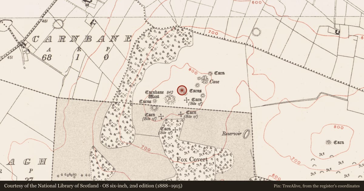Ordnance Survey six-inch map, 2nd edition (1888–1915) covering the location of Cairn - unclassified, Newtown, County Meath, with a pin at the register's coordinates