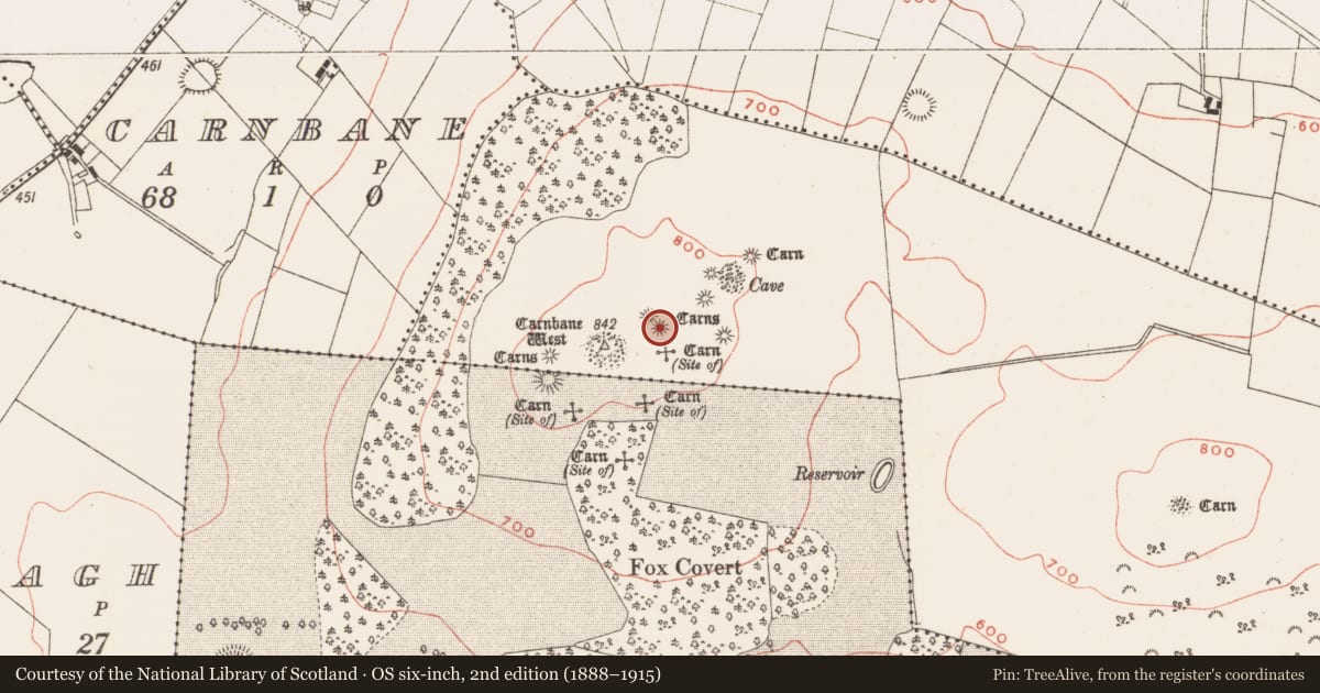 Ordnance Survey six-inch map, 2nd edition (1888–1915) covering the location of Megalithic tomb - passage tomb, Newtown, County Meath, with a pin at the register's coordinates