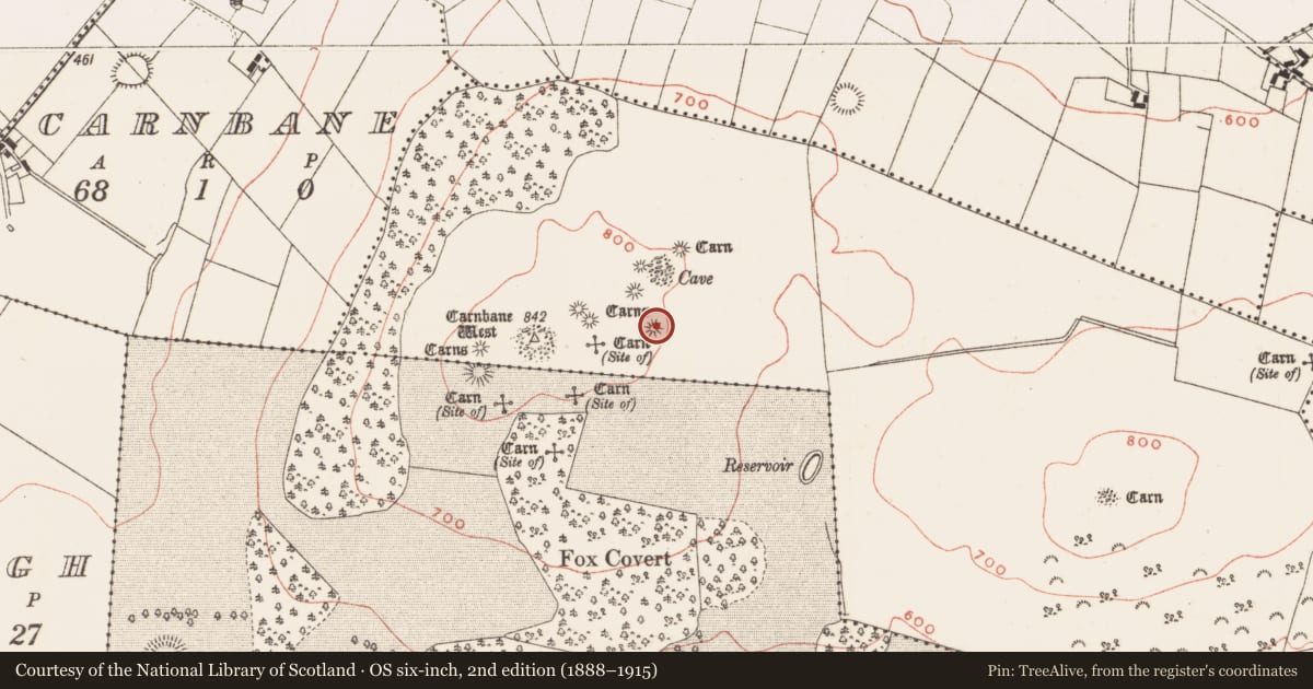 Ordnance Survey six-inch map, 2nd edition (1888–1915) covering the location of Megalithic tomb - passage tomb, Newtown, County Meath, with a pin at the register's coordinates