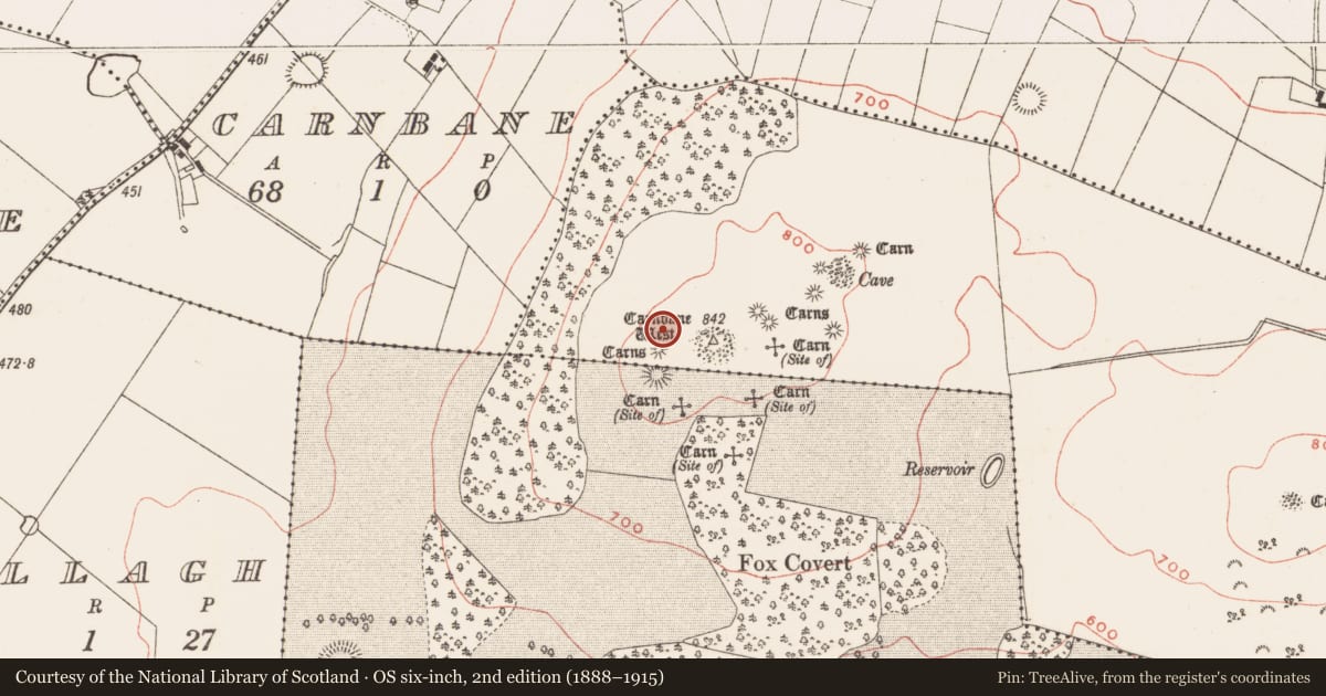 Ordnance Survey six-inch map, 2nd edition (1888–1915) covering the location of Megalithic tomb - passage tomb, Newtown, County Meath, with a pin at the register's coordinates