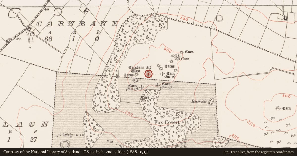 Ordnance Survey six-inch map, 2nd edition (1888–1915) covering the location of Cairn - unclassified, Newtown, County Meath, with a pin at the register's coordinates