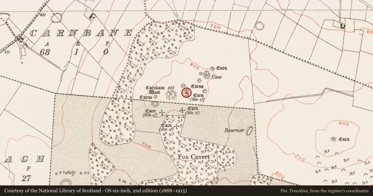 Ordnance Survey six-inch map, 2nd edition (1888–1915) covering the location of Cairn - unclassified, Newtown, County Meath, with a pin at the register's coordinates