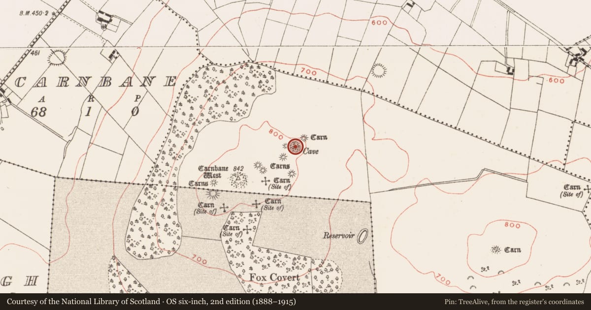 Ordnance Survey six-inch map, 2nd edition (1888–1915) covering the location of Megalithic tomb - passage tomb, Newtown, County Meath, with a pin at the register's coordinates