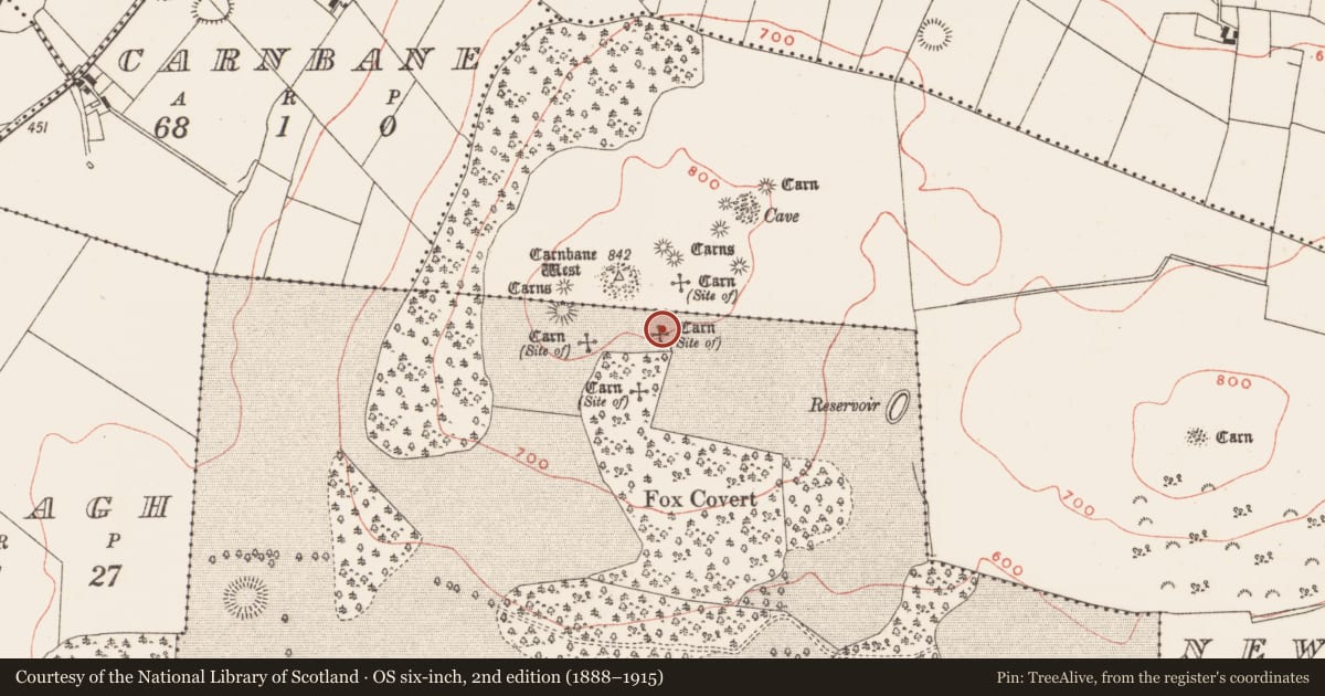 Ordnance Survey six-inch map, 2nd edition (1888–1915) covering the location of Cairn - unclassified, Loughcrew, County Meath, with a pin at the register's coordinates